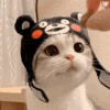 Cutey Cats いちばん やさしい ブロック チェーン KEEN SHOP SHINJUKU TAKASHIMAYAのオープンを記念して